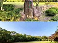 -白马涧龙池景区