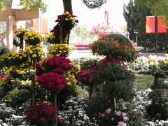 -上海市龙华烈士陵园