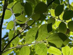 -青岛第三海水浴场