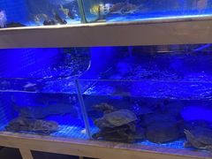-王捌小院(红花坡店)