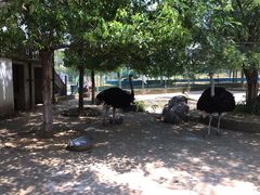 -武汉紫薇都市田园