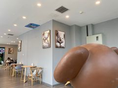 -了不起的考拉咖啡店(高新店)
