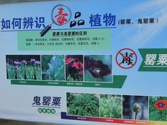 -国家植物园南园