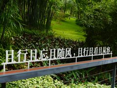 -云溪植物园