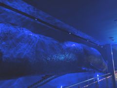 -厦门海底世界