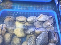 -震海贝烤贝·民俗特色店(延吉总店)