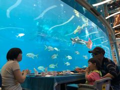 -瑞德姆美人鱼海底演艺主题餐厅(亚龙湾店)
