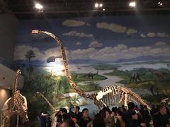 -自贡恐龙博物馆