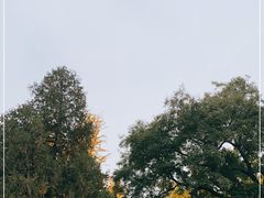 -北京石刻艺术博物馆(五塔寺)