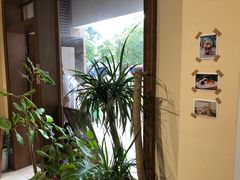 -沁屋面包店(人民东路店)