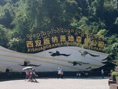 -西双版纳原始森林公园