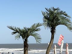 -巧克力渔家.小船海鲜家常菜(万平口店)