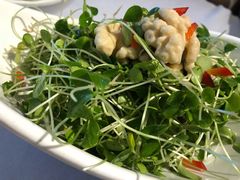 香椿拌桃仁-峨嵋酒家(地安门店)