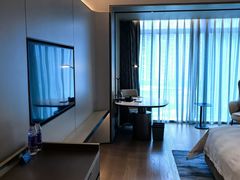 -深圳国际会展中心希尔顿酒店(前海华发冰雪世界店)