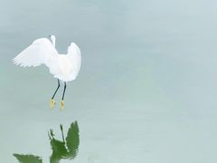 -荔湾湖公园