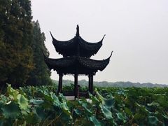 -苏堤停车场