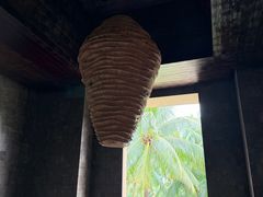 -海南清水湾莱佛士酒店