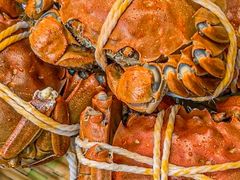 -蟹天蟹地农家菜·阳澄湖大闸蟹(浅水湾店)