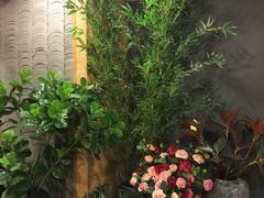 景观位-唐沫茶兮(仓山万达金街店)