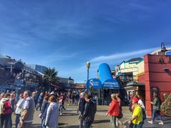 -阿尔卡特拉斯岛