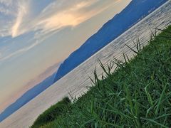 -才村湿地公园