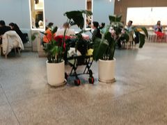 大堂-西贝莜面村(上海百联西郊店)