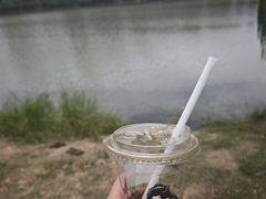 -金银湖国家城市湿地公园