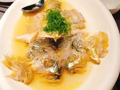 -黄鱼馆Jhouse(外滩店)