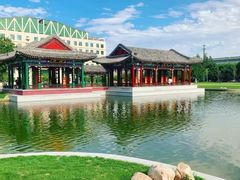 -东北农业大学