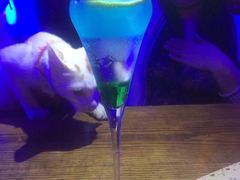 -星宿秘码(鼓浪屿老店)