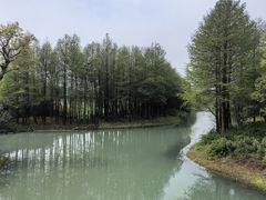 -贡湖湾湿地公园