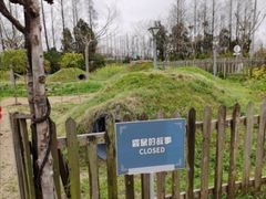 -前小桔亲子创意农场·草莓采摘·露营烧烤