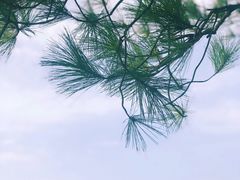 -东湖磨山景区