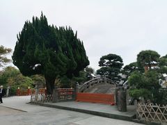 -鹤冈八幡宫