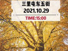-三里屯东五街银杏大道