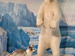 -陕西自然博物馆