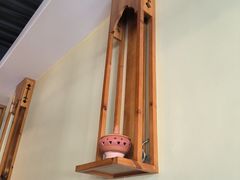 -金塔傣乡·云南德宏民族特色菜·傣味手抓饭(新亚洲店)