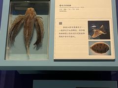 -舟山博物馆