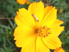 -白塘生态植物园