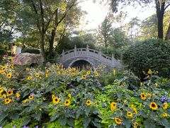 -沈阳植物园