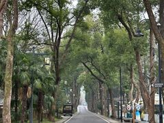 -东湖落雁景区