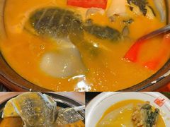 -潇湘甲鱼村(清河店)