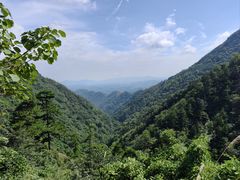 -东天目山风景区