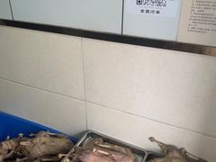-正宗忘不了老鹅(梅岭店)