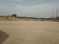 -漕湖湿地公园