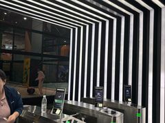 -运动派(北京店)