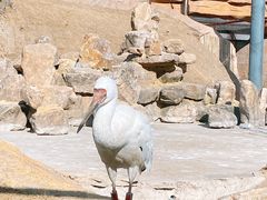-沈阳森林动物园