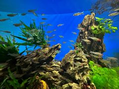 -太平洋海底世界