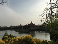-日照海滨国家森林公园