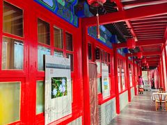 -中卫御苑福膳·养生局(圆明园店)